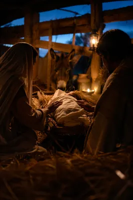 Warm Lantern Nativity in Humble Stable
