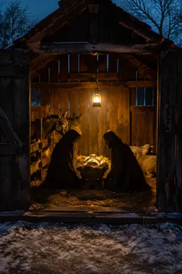 Warm Lantern Nativity in Rustic Stable