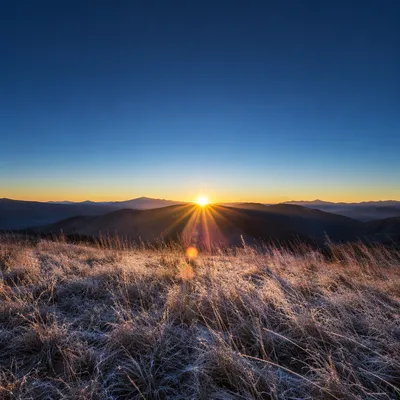 New Year Sunrise Over Frosty Mountain Meadow