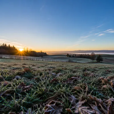 New Year Sunrise Over Frosted Winter Field