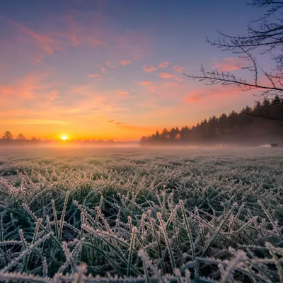 New Year Sunrise Over Frosted Winter Meadow