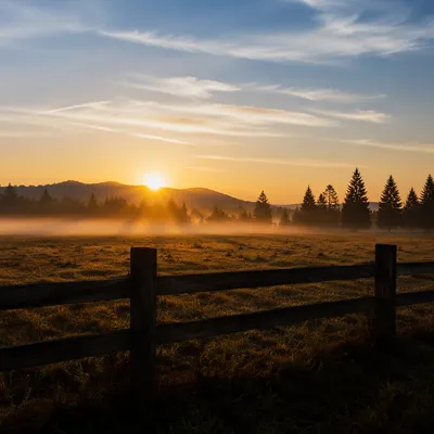 New Year Sunrise Over Misty Meadow