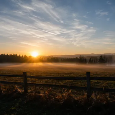 New Year Sunrise Over Peaceful Meadow