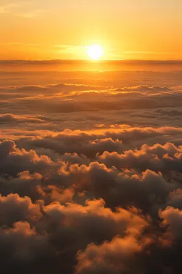 New Year Sunrise Above Golden Clouds