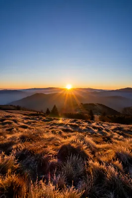 New Year Sunrise Over Frosted Mountain Meadow