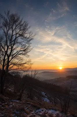 New Year Sunrise Over Winter Hillside