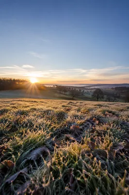 New Year Sunrise Over Frosted Winter Field