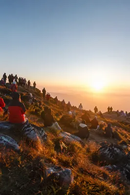 New Year Sunrise Over Prayerful Hillside