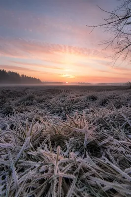 New Year Sunrise Over Frosted Winter Meadow