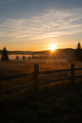 New Year Sunrise Over Peaceful Meadow