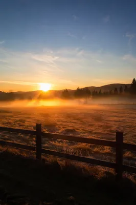 New Year Sunrise Over Peaceful Meadow