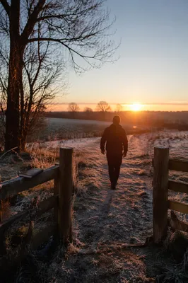 New Year Sunrise Path of Hope