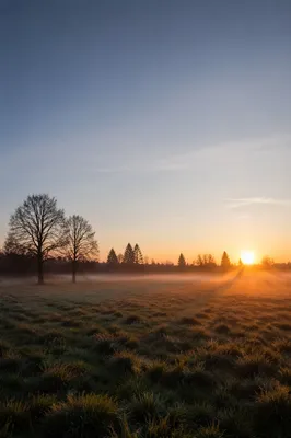 New Year Sunrise Over Misty Meadow