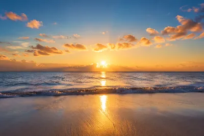 New Year Sunrise Over Peaceful Shore