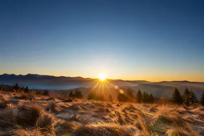 New Year Sunrise Over Frosty Mountain Meadow