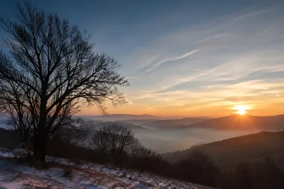 New Year Sunrise Over Winter Hillside