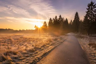 New Year Sunrise Over Frosted Meadow Path