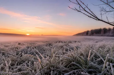 New Year Sunrise Over Frosted Winter Meadow
