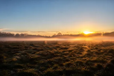 New Year Sunrise Over Misty Meadow