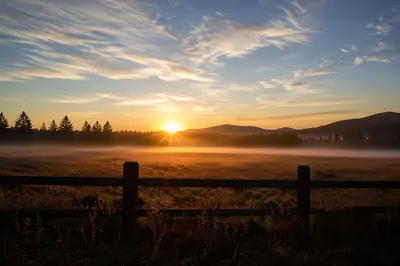 New Year Sunrise Over Peaceful Meadow