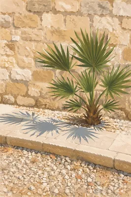 Palm Branches Beside Sunlit Stone Walkway