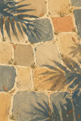 Palm Branch Shadows on Stone Walkway