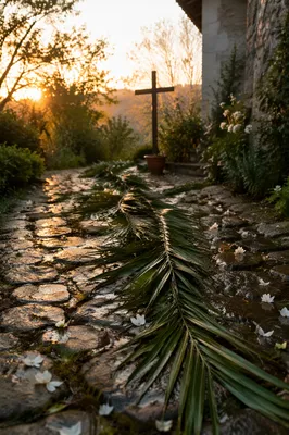 Palm Branches on Rainy Chapel Path