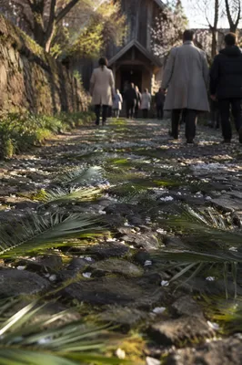 Palm Sunday Branches on Chapel Stone Path