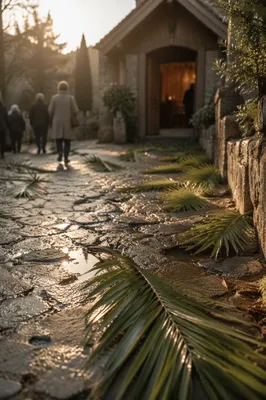 Palm Branches on Rainy Chapel Path