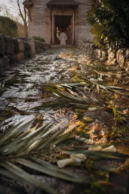 Palm Branches on Rain-Damp Chapel Path