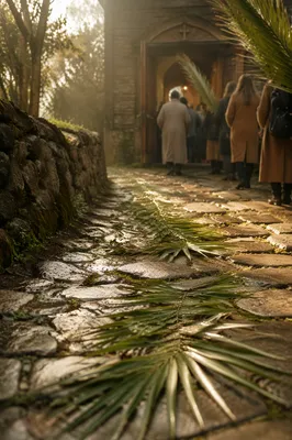 Palm Sunday Branches on Chapel Stone Path