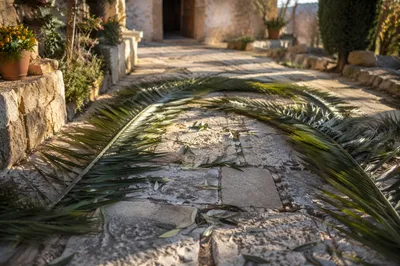 Palm Branches on Chapel Stone Path