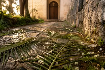 Palm Branches on Rainy Chapel Path