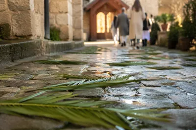 Palm Branches on Rainy Chapel Path