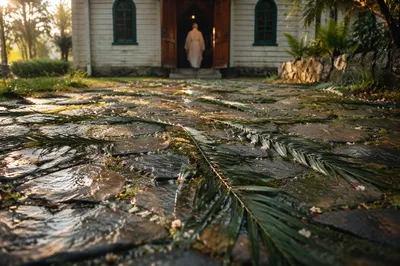 Palm Branches on Rainy Chapel Path