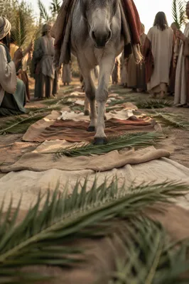 Palm Sunday Donkey on Cloaked Path