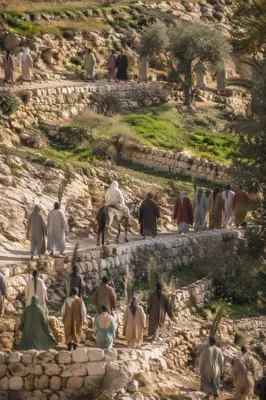 Palm Sunday Procession on Hillside Path