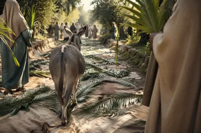 Palm Sunday Donkey on Cloaked Path