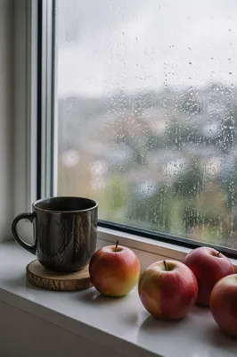 Cozy Rainy Day Window Still Life