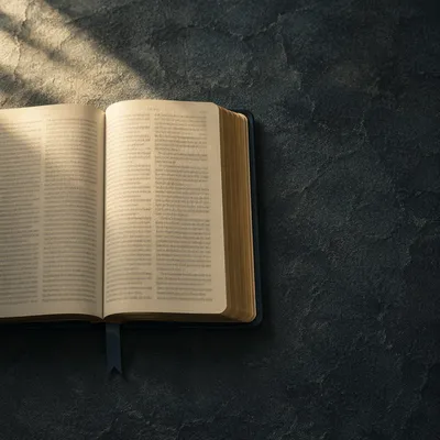 Open Bible in Reformation Morning Light