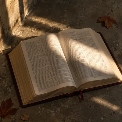 Reformation Day Bible in Autumn Light