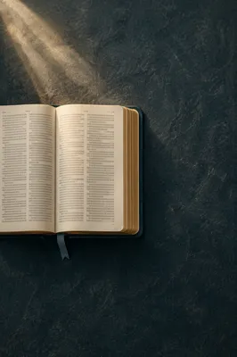 Open Bible in Reformation Morning Light