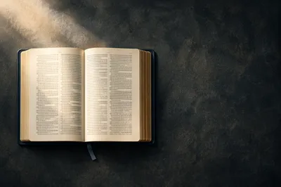 Open Bible in Morning Reformation Light
