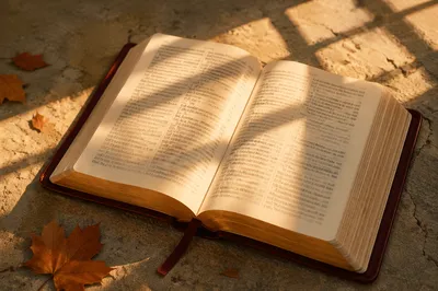 Open Bible in Reformation Day Light