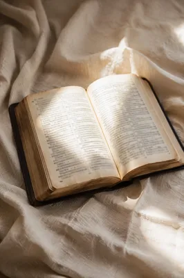 Open Bible in Morning Light Reflection