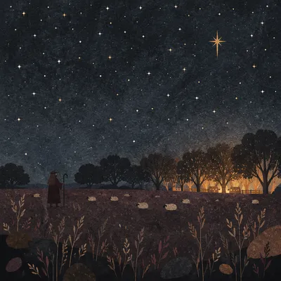 Shepherds Field Under Winter Stars