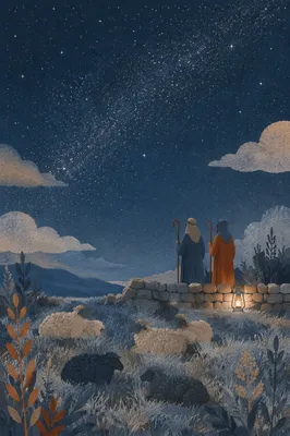 Shepherds Field Under Winter Night Stars