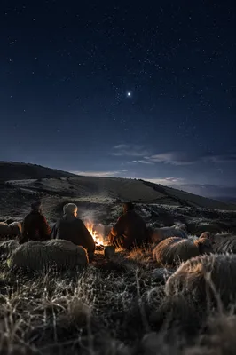 Shepherds Beneath a Starry Winter Sky