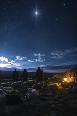 Shepherds Beneath Bethlehem Starry Night