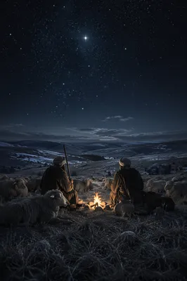 Shepherds Beneath a Christmas Starry Night